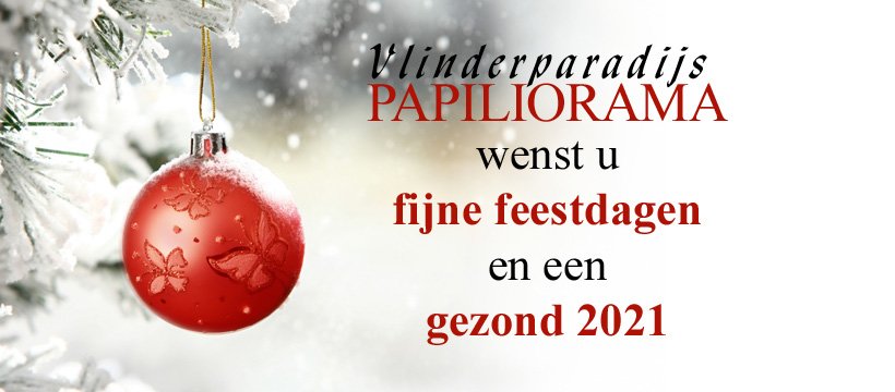 fijne feestdagen