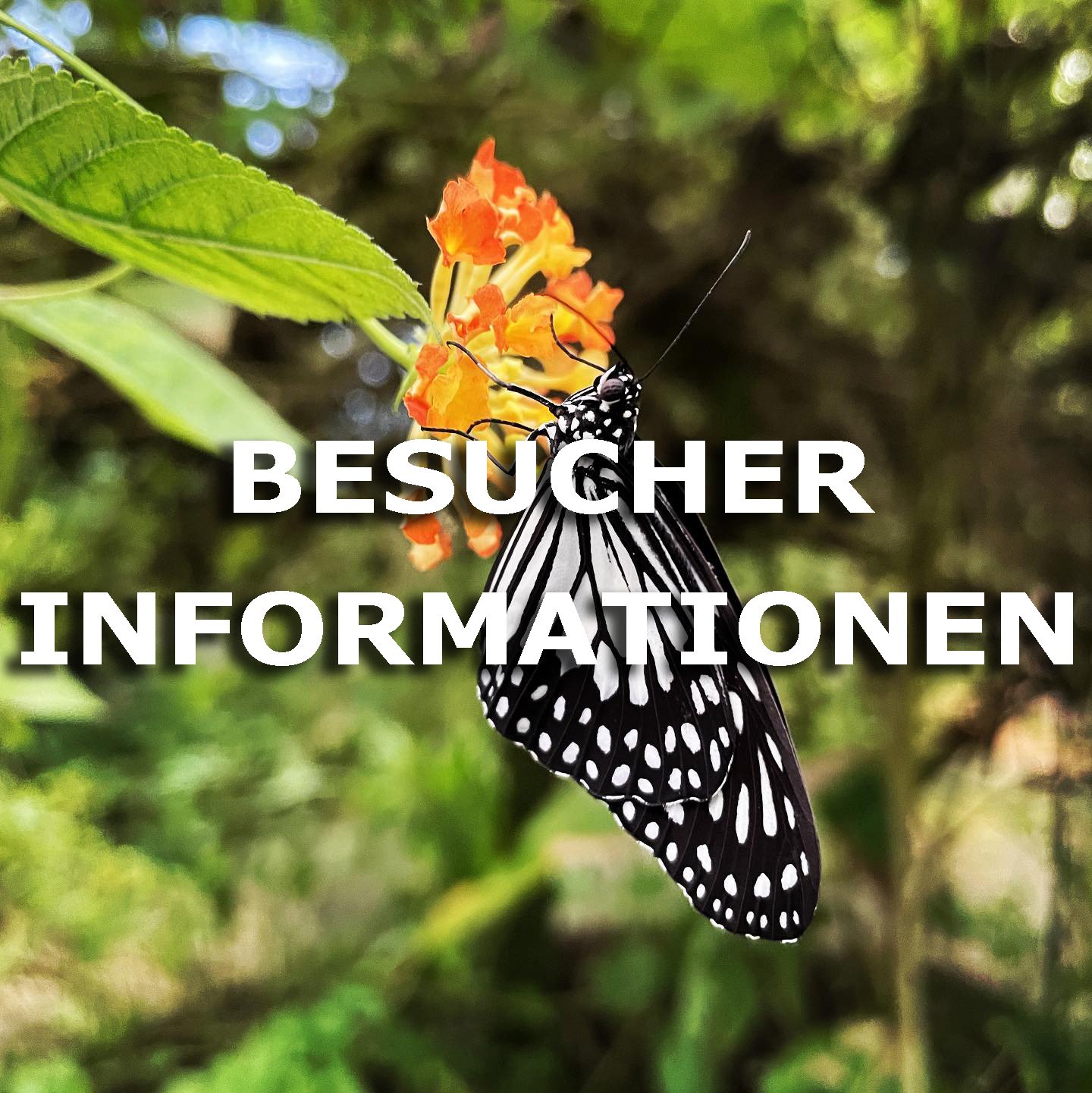 Besucherinformationen