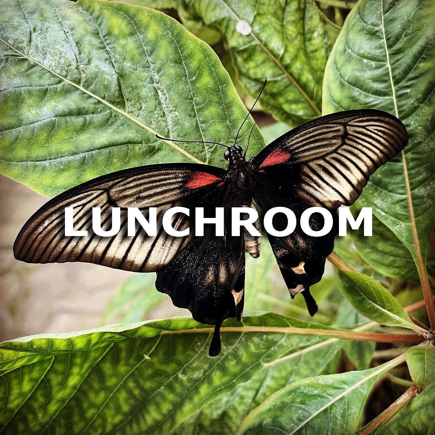 Lunchroom