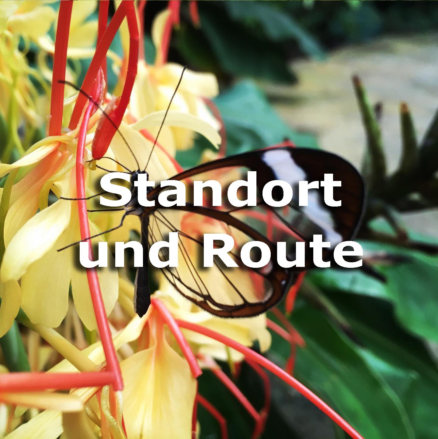 Standort und Route